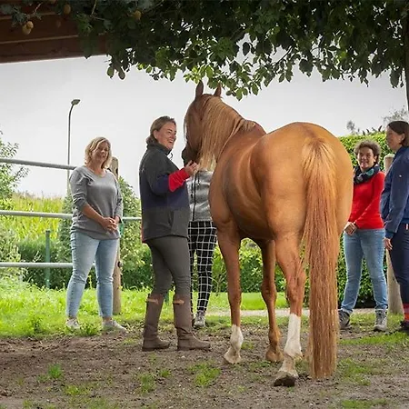 Equi Guidance *