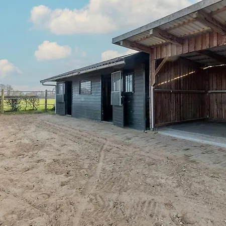 Equi Guidance Wapenveld