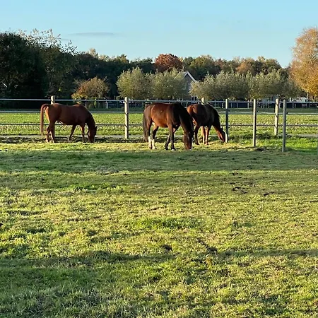 Equi Guidance Homestay Wapenveld