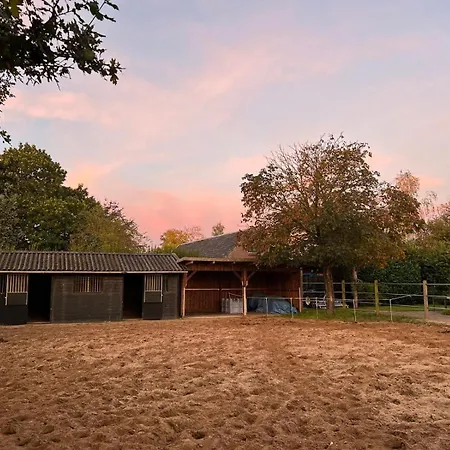 Equi Guidance Homestay