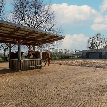 Equi Guidance Wapenveld