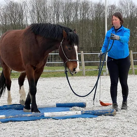 בית אירוח Equi Guidance